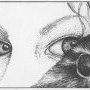 Le Rêve du Taxidermiste, page 2, extrait.